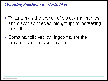 Grouping Species: The Basic Idea