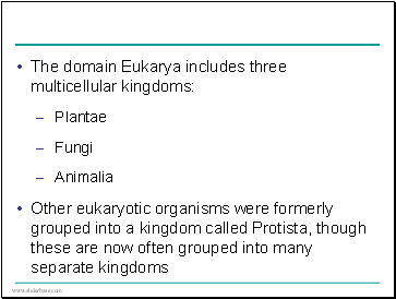 The domain Eukarya includes three multicellular kingdoms: