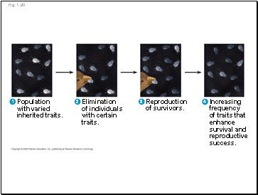 Fig. 1-20