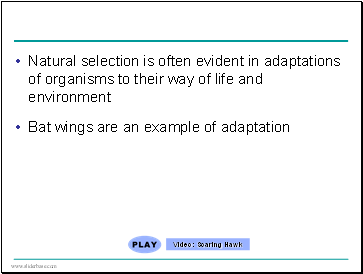 Natural selection is often evident in adaptations of organisms to their way of life and environment