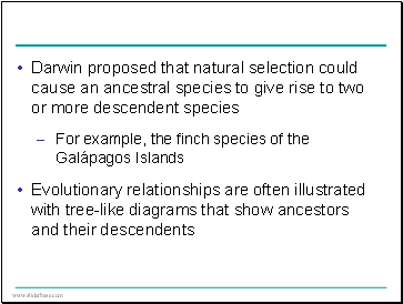 Darwin proposed that natural selection could cause an ancestral species to give rise to two or more descendent species