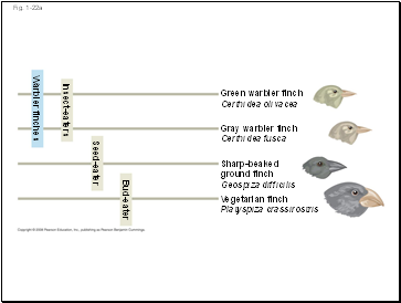 Fig. 1-22a