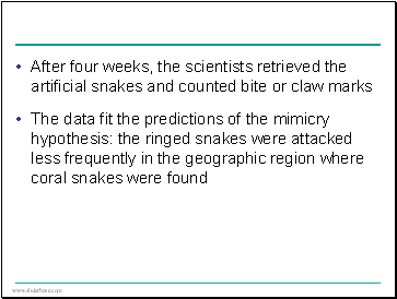 After four weeks, the scientists retrieved the artificial snakes and counted bite or claw marks