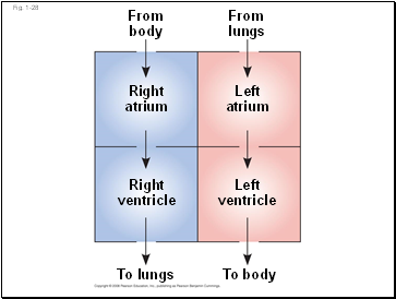 Fig. 1-28