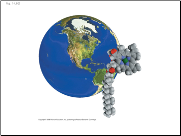 Fig. 1-UN2