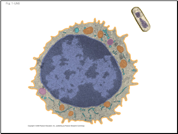 Fig. 1-UN5