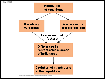 Fig. 1-UN8