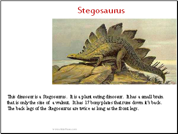 Stegosaurus