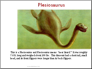 Plesiosaurus