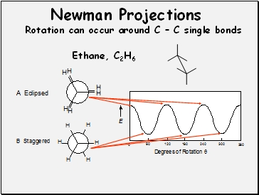 Newman Projections