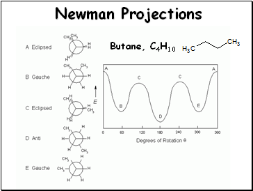 Newman Projections