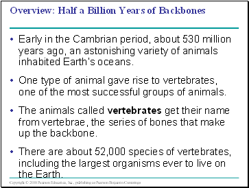 Half a Billion Years of Backbones