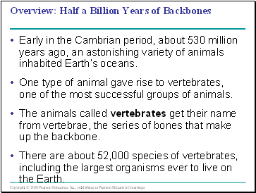 Vertebrates