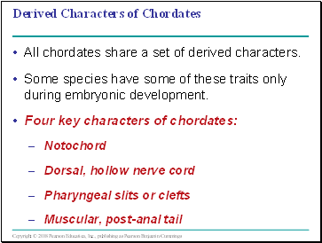 Derived Characters of Chordates