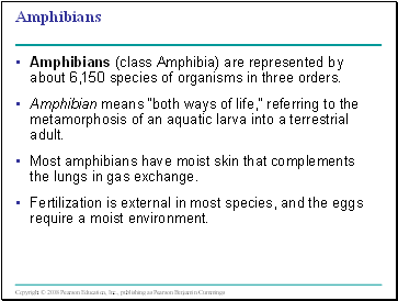 Amphibians