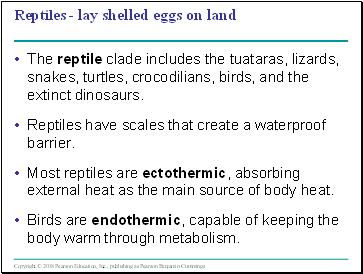 Reptiles - lay shelled eggs on land