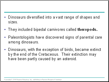 Dinosaurs diversified into a vast range of shapes and sizes.