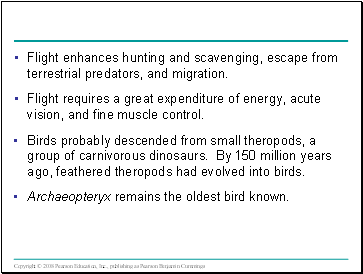 Flight enhances hunting and scavenging, escape from terrestrial predators, and migration.