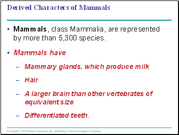 Derived Characters of Mammals