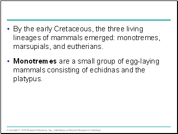 By the early Cretaceous, the three living lineages of mammals emerged: monotremes, marsupials, and eutherians.