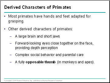 Most primates have hands and feet adapted for grasping.