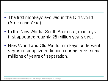 The first monkeys evolved in the Old World (Africa and Asia).