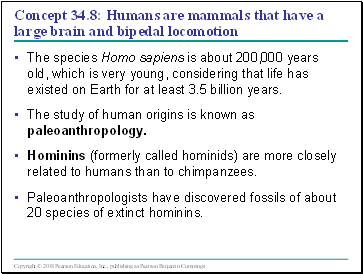 Concept 34.8: Humans are mammals that have a large brain and bipedal locomotion