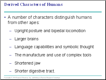 Derived Characters of Humans