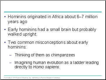Hominins originated in Africa about 67 million years ago