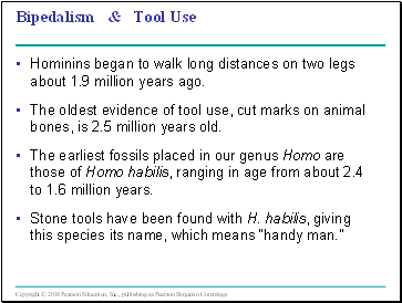 Bipedalism & Tool Use