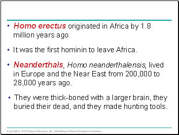 Homo erectus originated in Africa by 1.8 million years ago