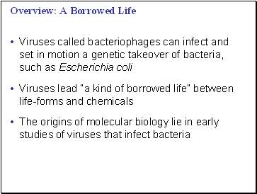 A Borrowed Life