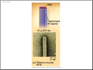 Fig. 19-3a