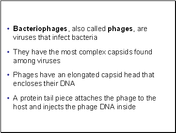 Bacteriophages, also called phages, are viruses that infect bacteria