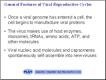 General Features of Viral Reproductive Cycles