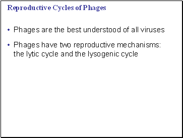 Reproductive Cycles of Phages