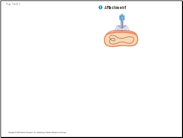 Fig. 19-5-1