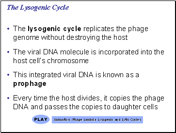 The Lysogenic Cycle