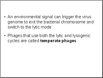 An environmental signal can trigger the virus genome to exit the bacterial chromosome and switch to the lytic mode