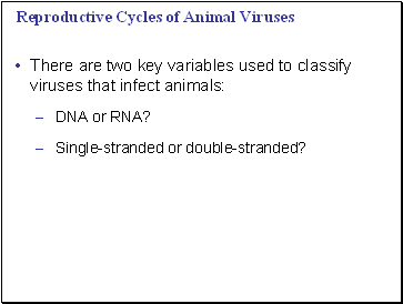 Reproductive Cycles of Animal Viruses