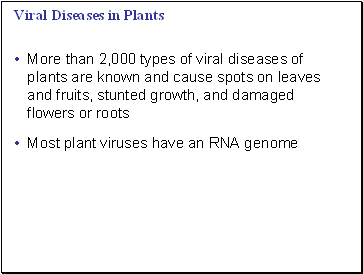 Viral Diseases in Plants