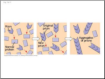 Fig. 19-11