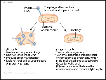 Fig. 19-UN1