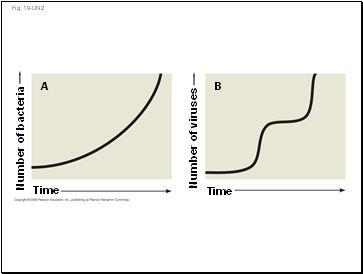 Fig. 19-UN2