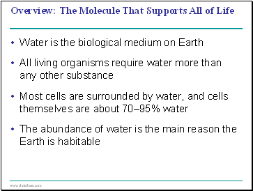 The Molecule That Supports All of Life