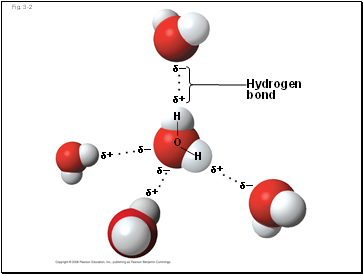 Fig. 3-2