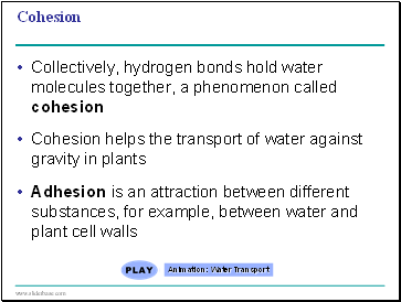 Cohesion