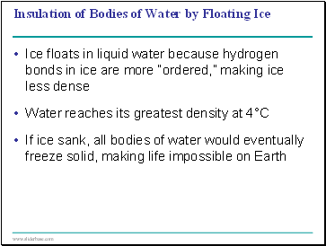 Insulation of Bodies of Water by Floating Ice