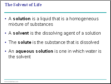 The Solvent of Life