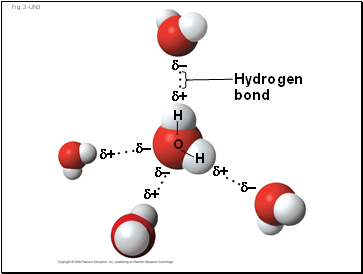 Fig. 3-UN3